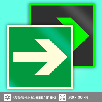 Знак E02-01 «Направляющая стрелка» (фотолюминесцентная пленка, 200х200 мм)
