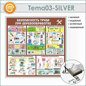 Стенд «Безопасность труда при деревообработке» (TM-03-SILVER)