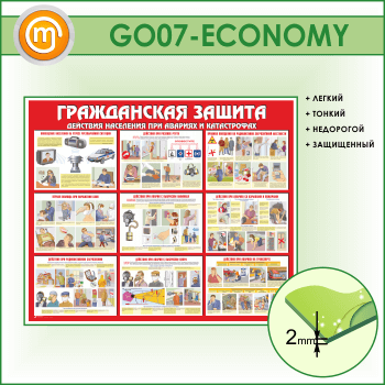 ����� ������������ ������ (GO-07-ECONOMY)