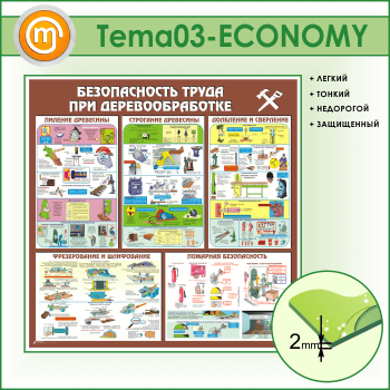 ����� ������������� ����� ��� ��������������� (TM-03-ECONOMY)