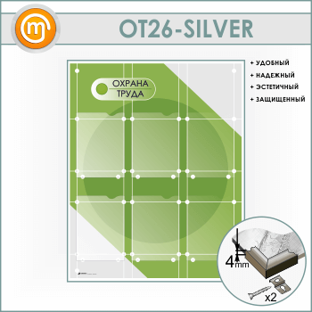 ����� ������� ����� � 6 �������� ��������� (OT-26-SILVER)