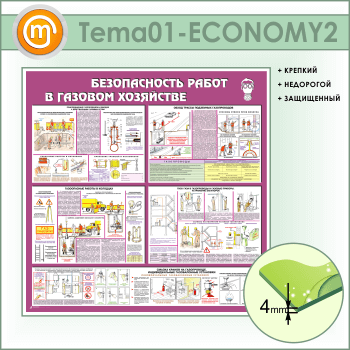 ����� ������������� ����� � ������� ��������� (TM-01-ECONOMY2)