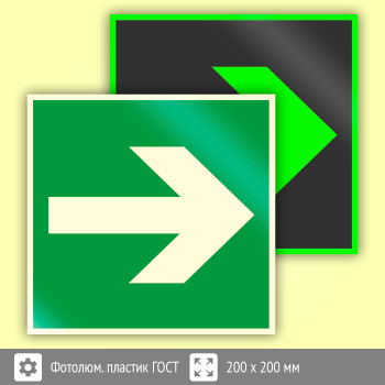 Знак E02-01 «Направляющая стрелка» (фотолюминесцентный пластик ГОСТ 34428-2018, 200х200 мм)