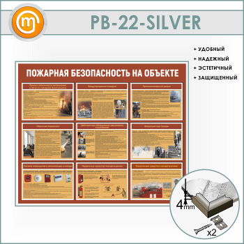 ����� ��������� ������������ �� ������� (PB-22-SILVER)