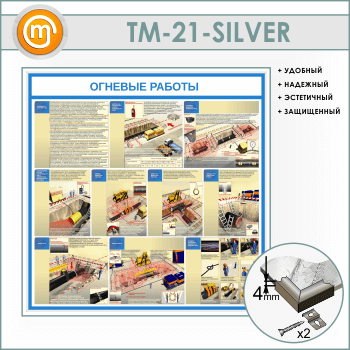 ����� �������� ������� (TM-21-SILVER)