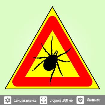 ���� ������, B99 (������ c ��������������, ������� 300 ��)