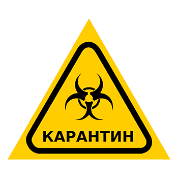 ���� ����������, Q13.6 (�������, ������� 300 ��)