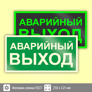 Знак E23 «Указатель аварийного выхода» (фотолюминесцентная пленка ГОСТ 34428-2018, 250х125 мм)