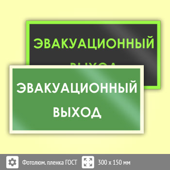 Знак B43 «Эвакуационный выход» (фотолюминесцентная пленка ГОСТ 34428-2018, 300х150 мм)
