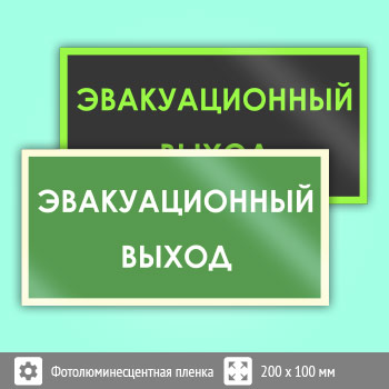 Знак B43 «Эвакуационный выход» (фотолюминесцентная пленка ГОСТ 34428-2018, 200х100 мм)