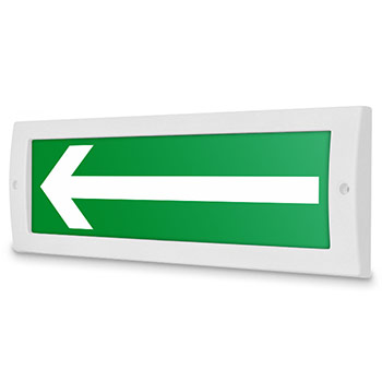 �������� ����� �������� �����, ������ (12�)