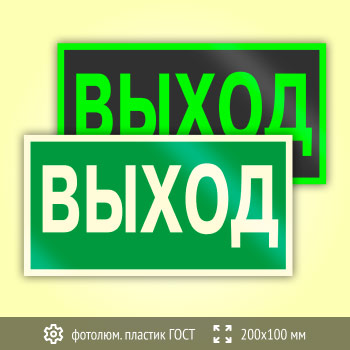 Знак E22 «Указатель выхода» (фотолюминесцентный пластик ГОСТ 34428-2018, 200х100 мм)