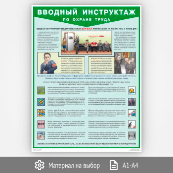 Плакат «Вводный инструктаж по охране труда» (С-112, 1 лист)