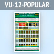 ����� ��������� ������ � ����� ��������. ������� (VU-12-POPULAR)